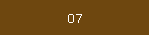 07